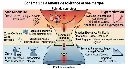 9360e9af-81c8-4141-8528-c8b5babd989b.webp