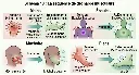 ab41e814-3863-4c2a-8e36-621abd38e079.webp